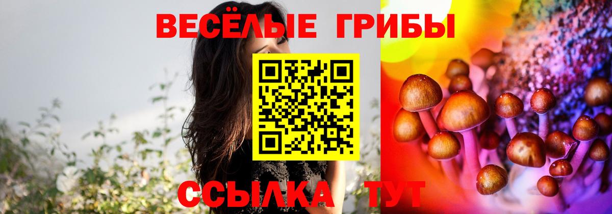 даркнет сайт  Вход с VPN  Урай  Галлюциногенные грибы Cubensis 
